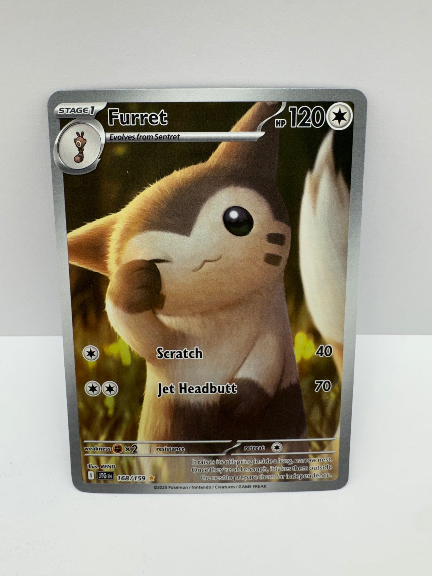 Furret 168/159 [JTG]