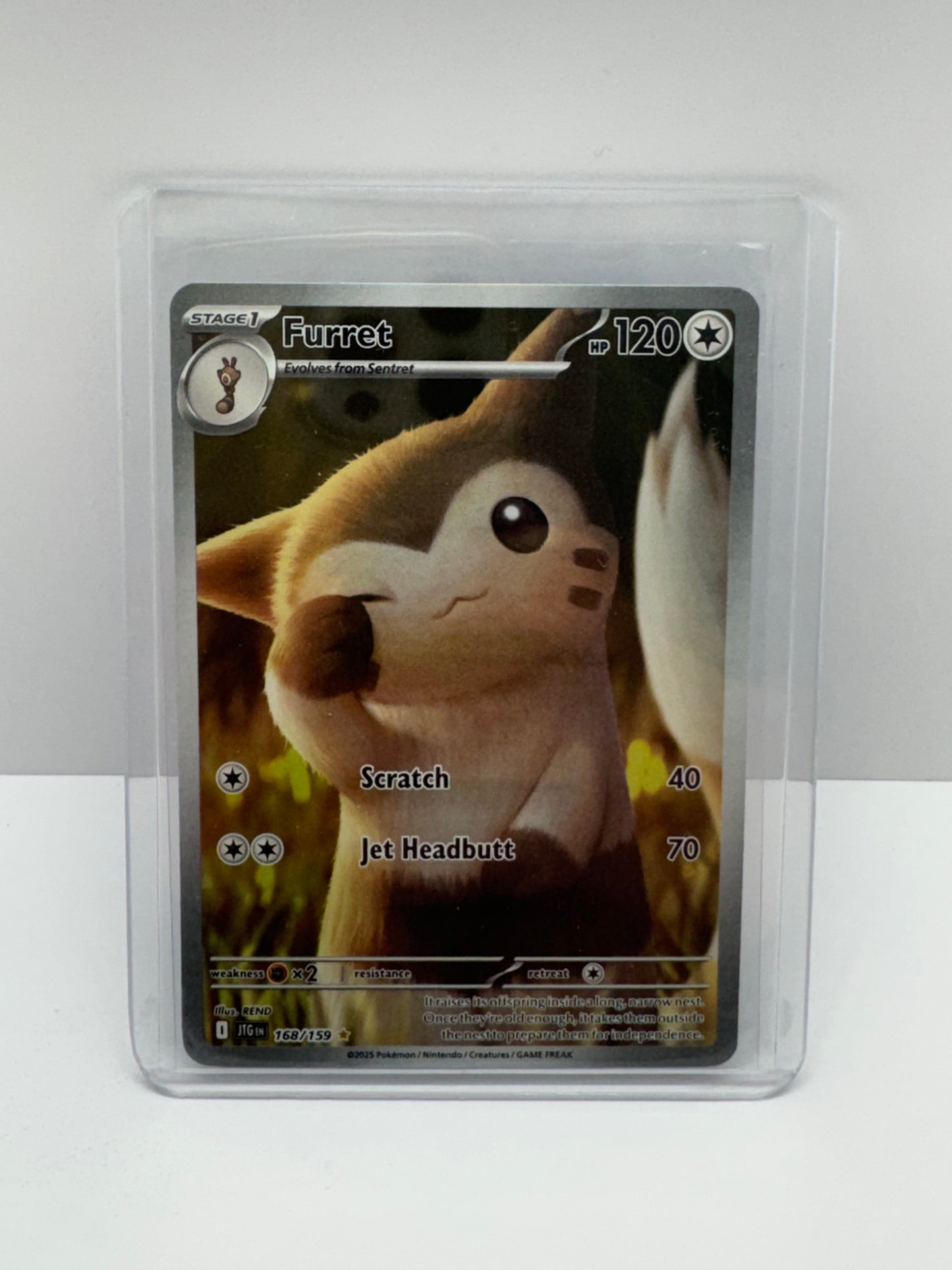Furret 168/159 [JTG]